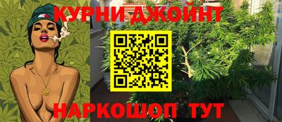 мяу мяу мука Гай