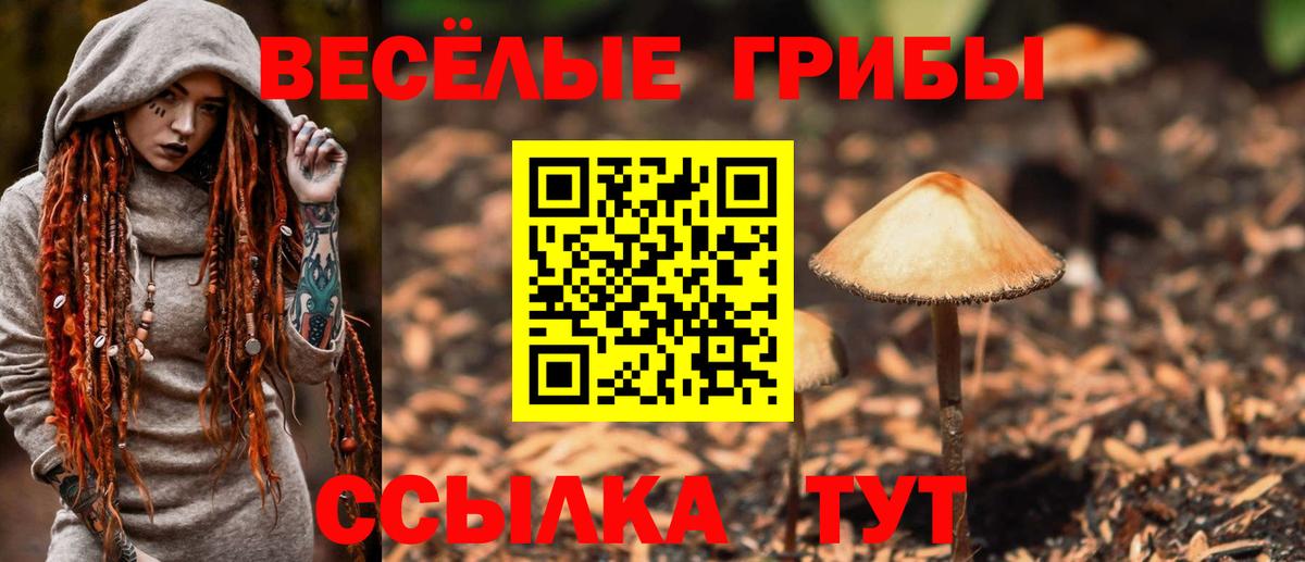 Псилоцибиновые грибы ЛСД  как найти наркотики  Надым  Вход с VPN 