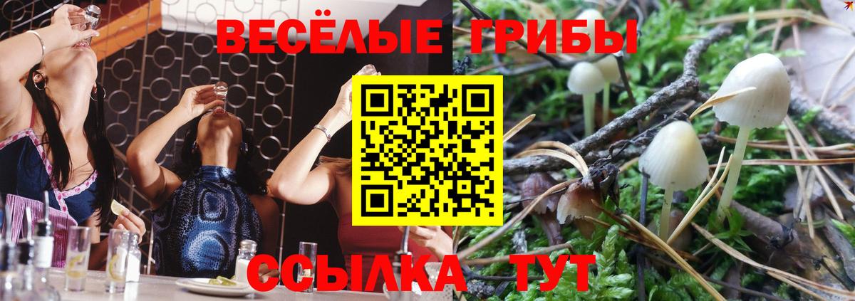 Псилоцибиновые грибы Psilocybe Надым